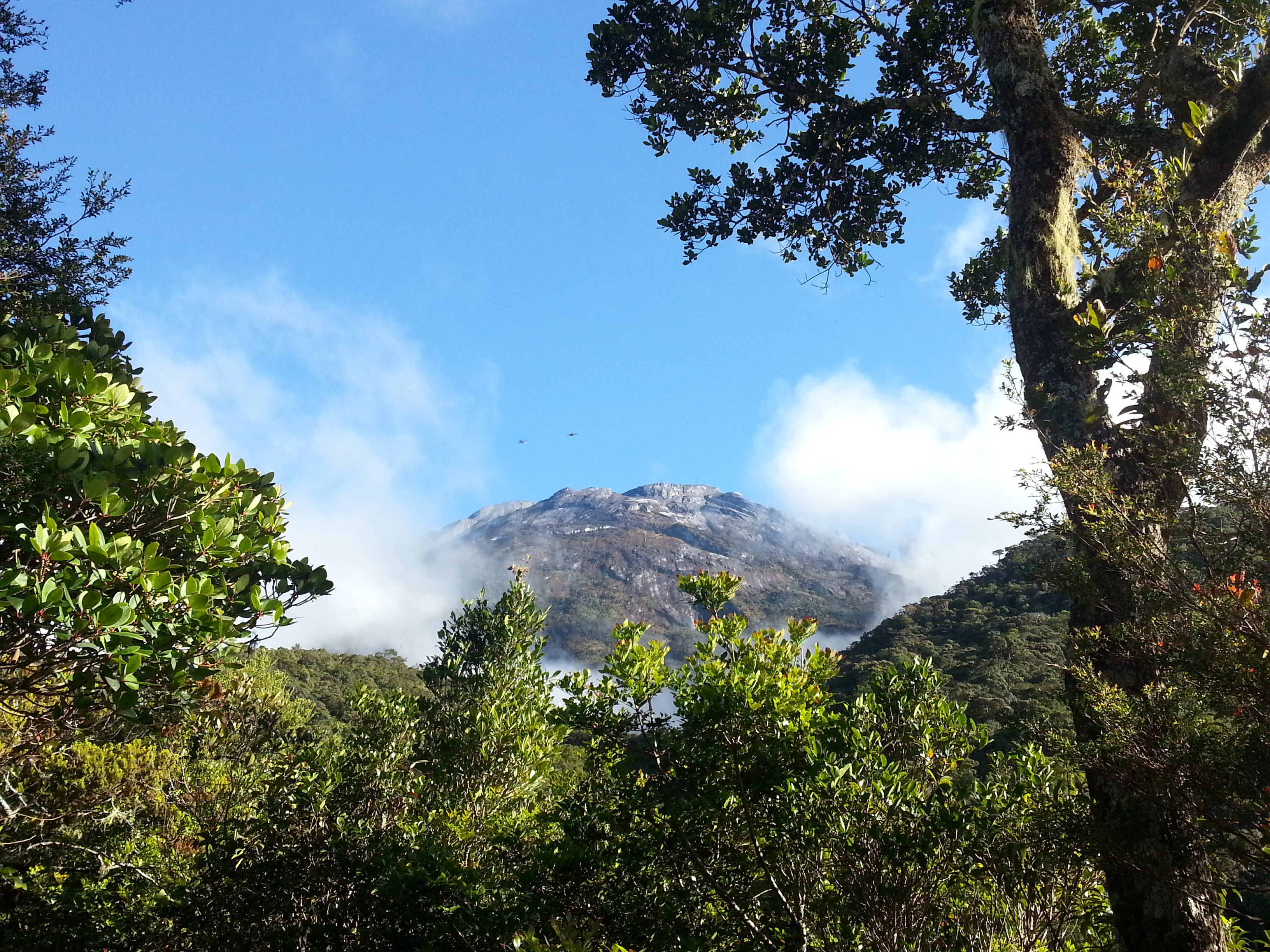 Mount Kinabalu 