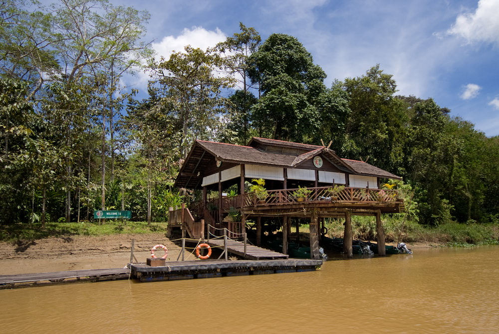 Die Sukau Rainforest Lodge 