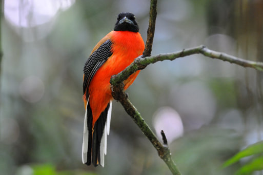 Erleben Sie die Flora und Fauna