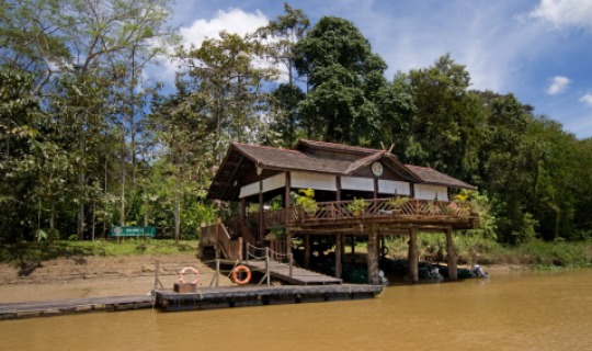 Die Sukau Rainforest Lodge 