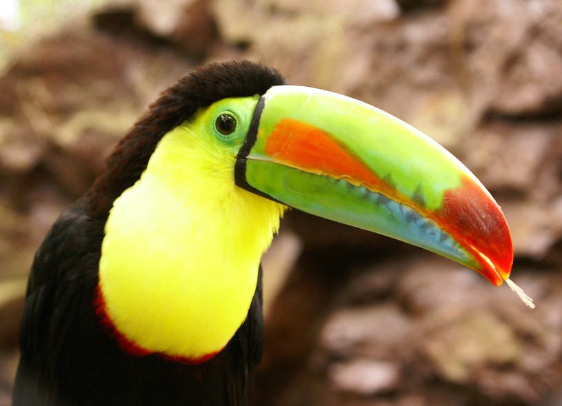 Erleben Sie verschiedenste Tierarten