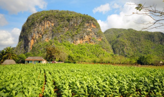 Vinales von seiner schönsten Seite