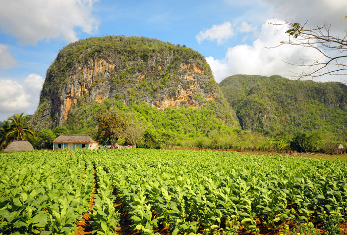 Vinales von seiner schönsten Seite