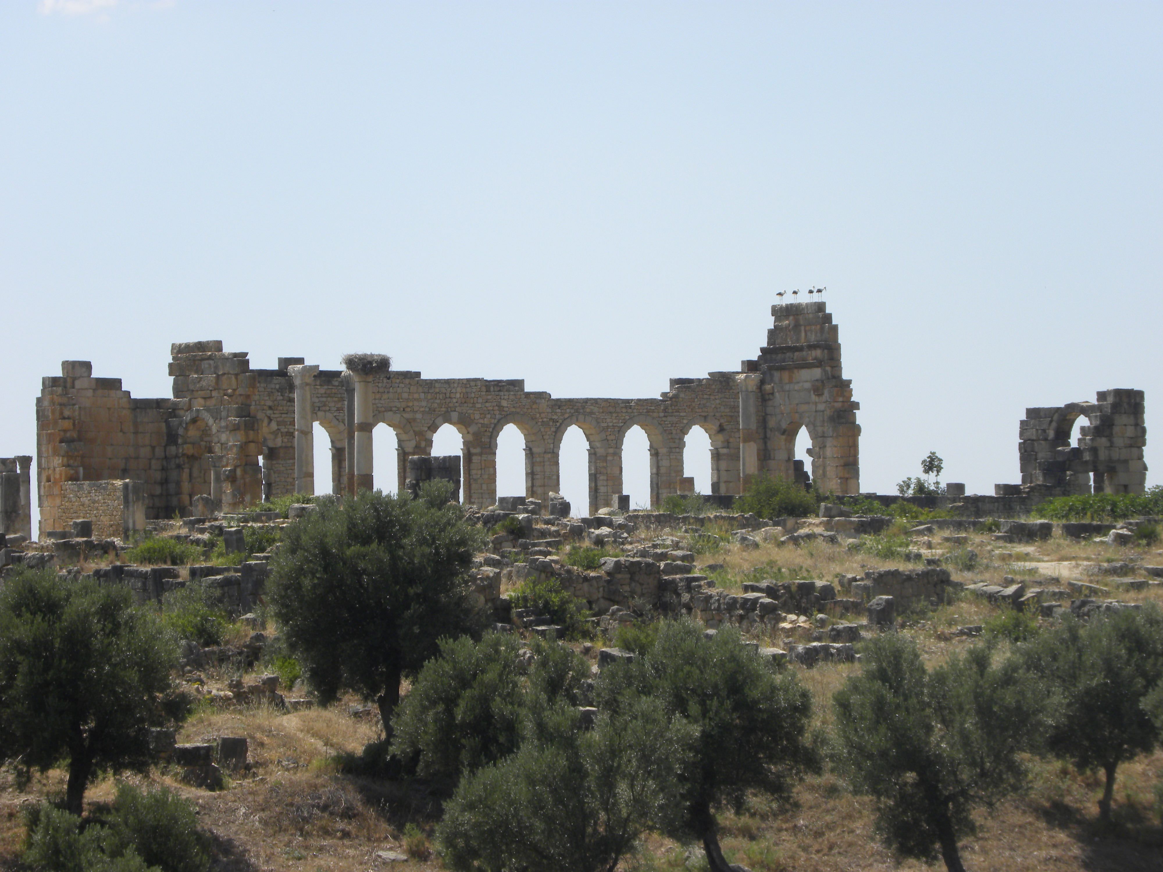 Die Ruinen von Volubilis