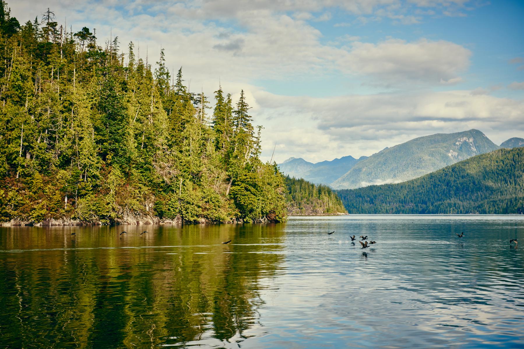 Finden Sie zurück zur Natur 