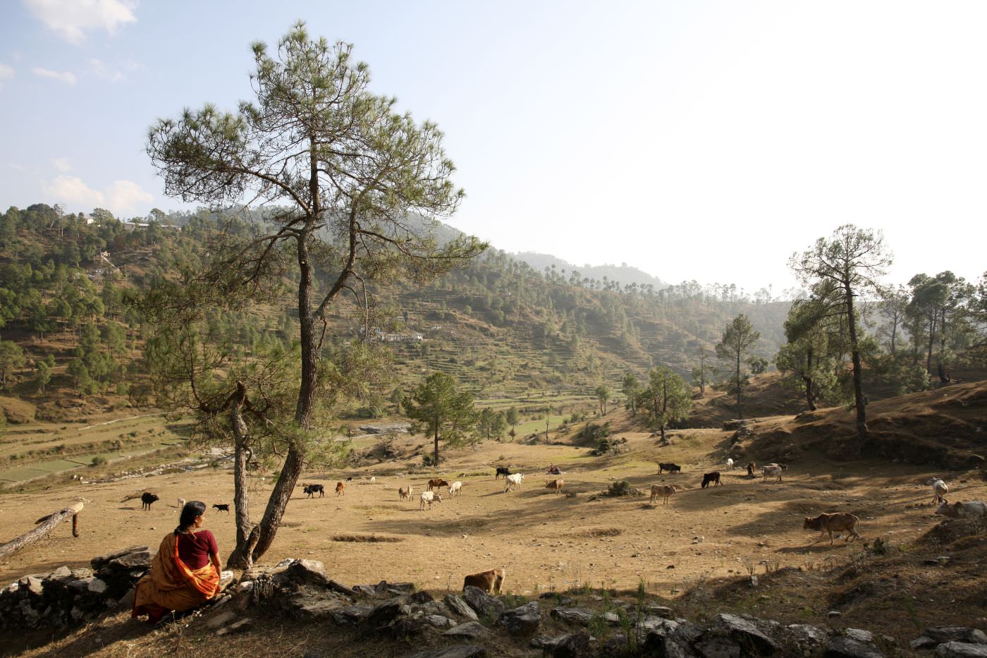 Einheimische Bergbewohner bei der alltäglichen Arbeit