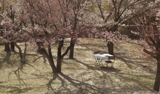 Romantisches Picknick in zauberhafter Location