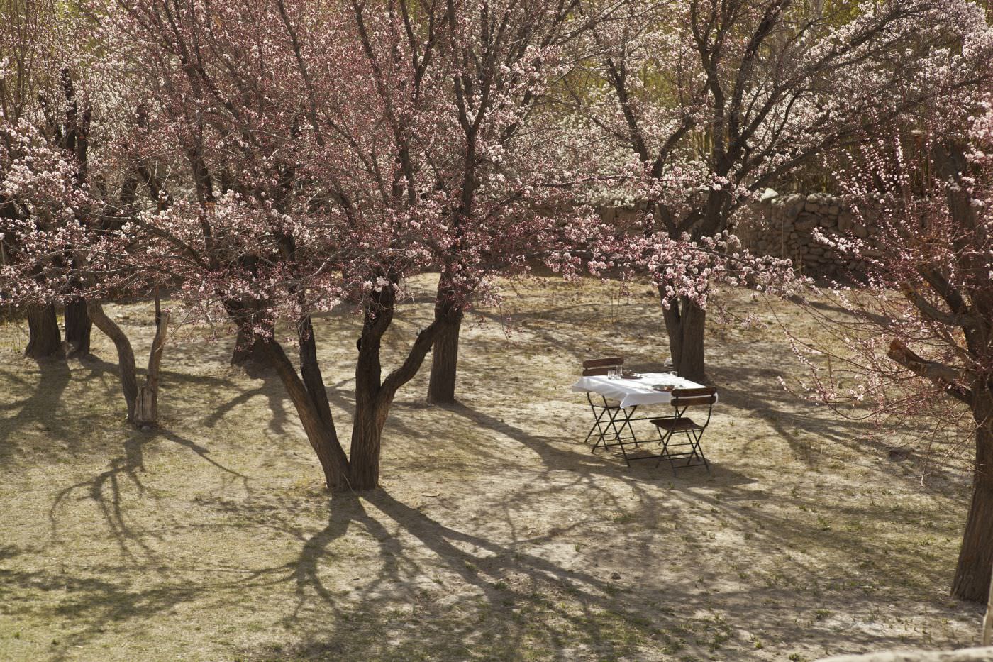 Romantisches Picknick in zauberhafter Location