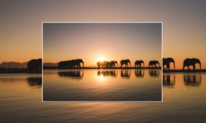 Jabulani-Elephant-Workshop-Image5.jpg