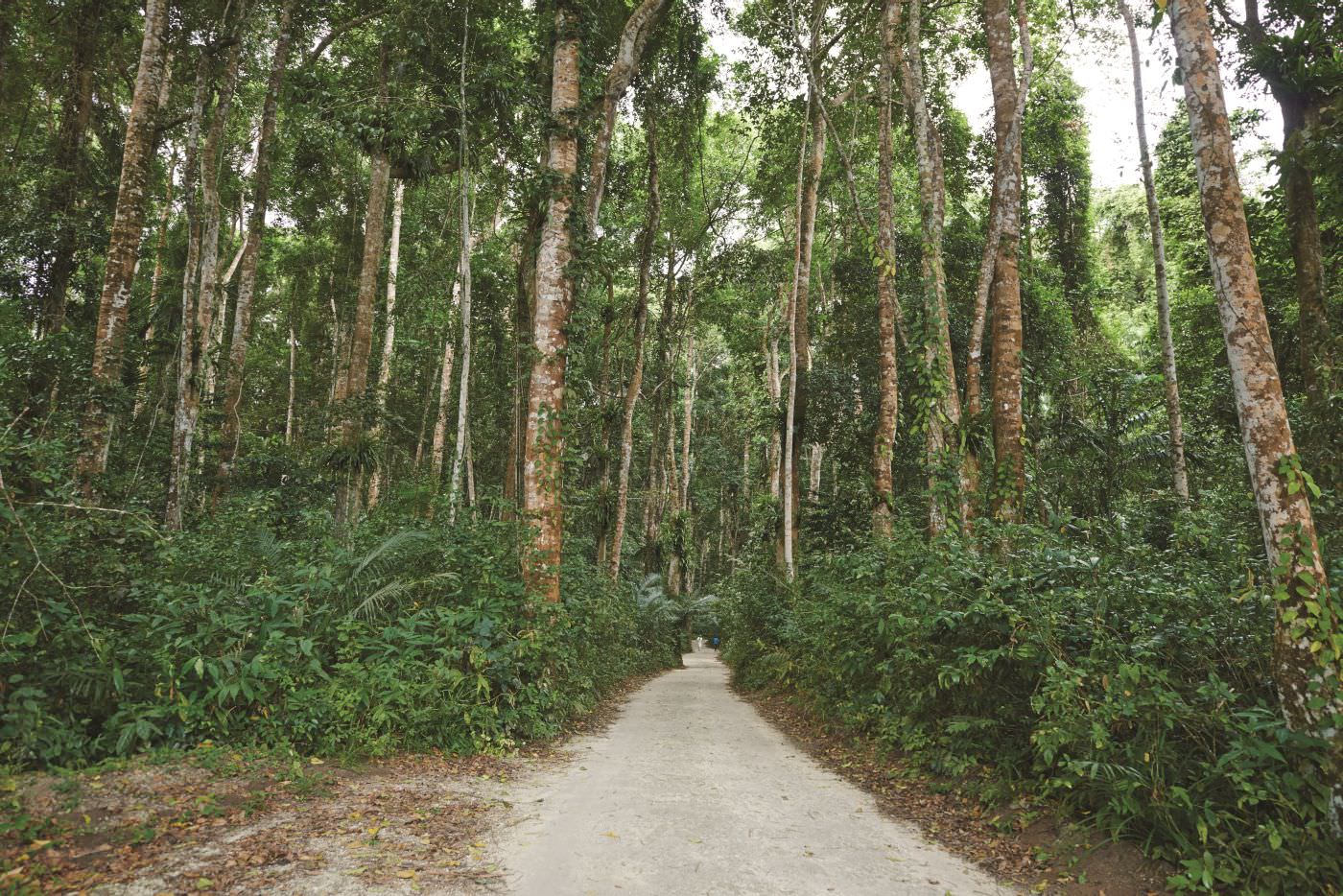 Inmitten üppiger Vegetation