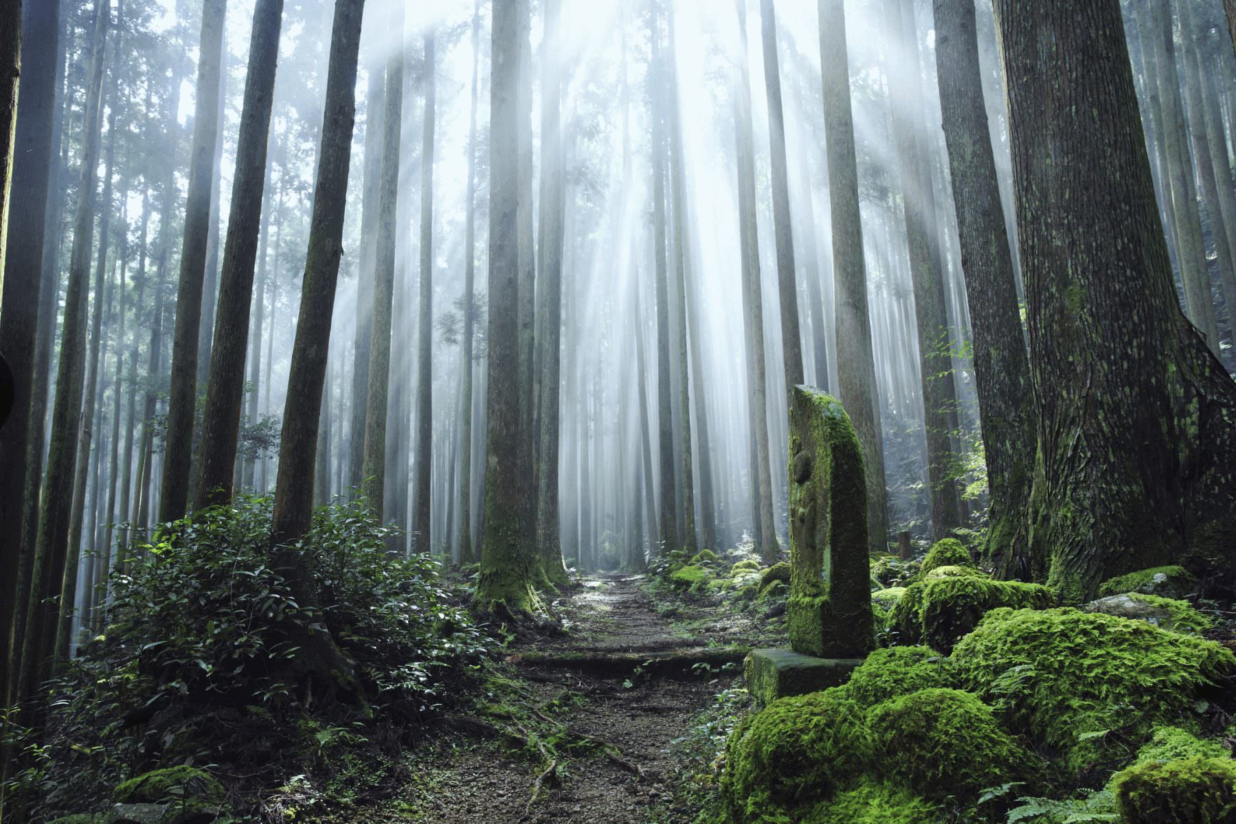 Pilgerroute Kumano Kodo