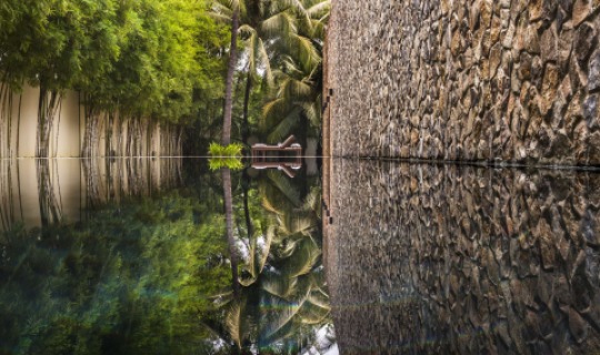 Wunderschöne Reflektionen Wunderschöne Reflektionen