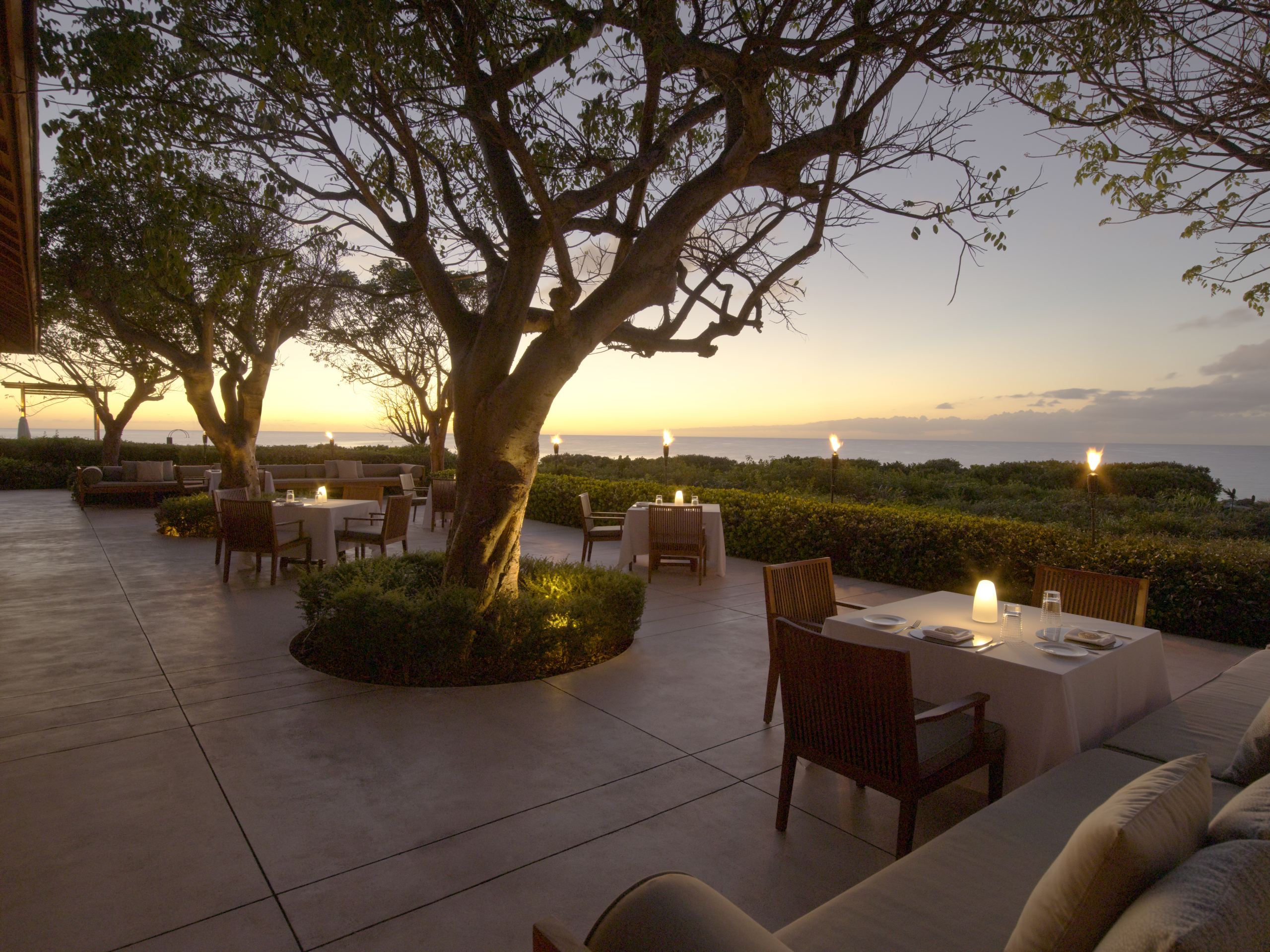 Kulinarische Köstlichkeiten unterm Sternenhimmel