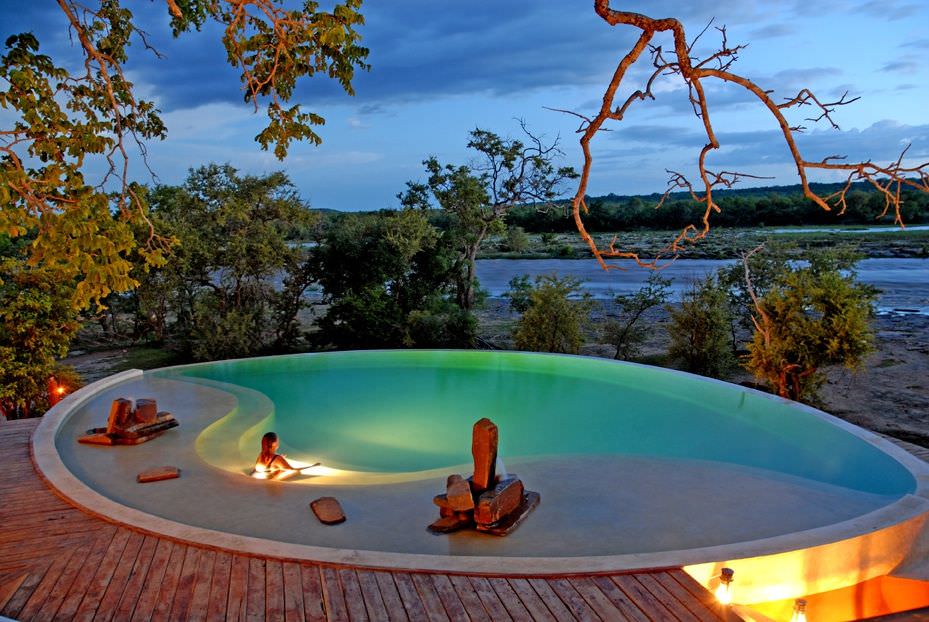 Tierbeobachtung vom Pool aus