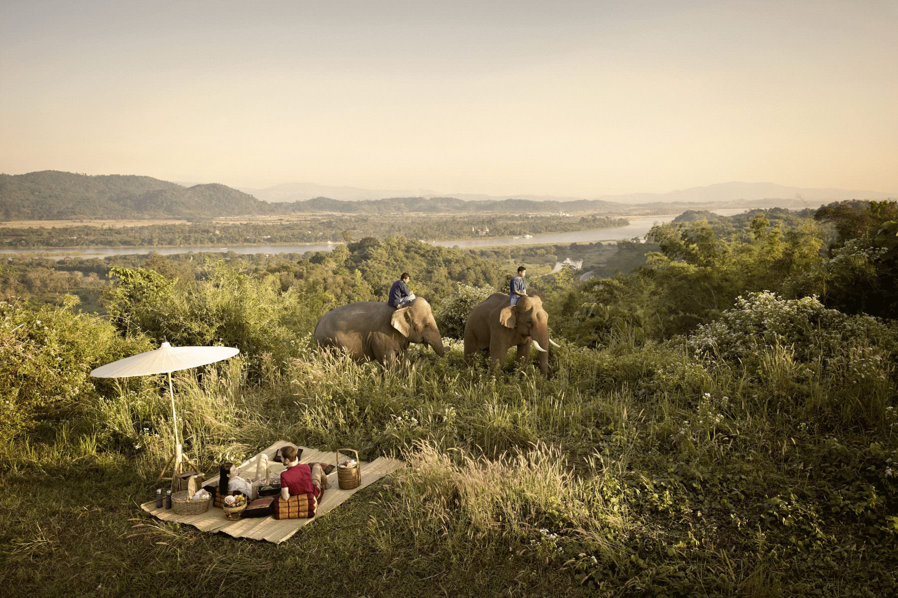 Privates Picknick inmitten der Natur