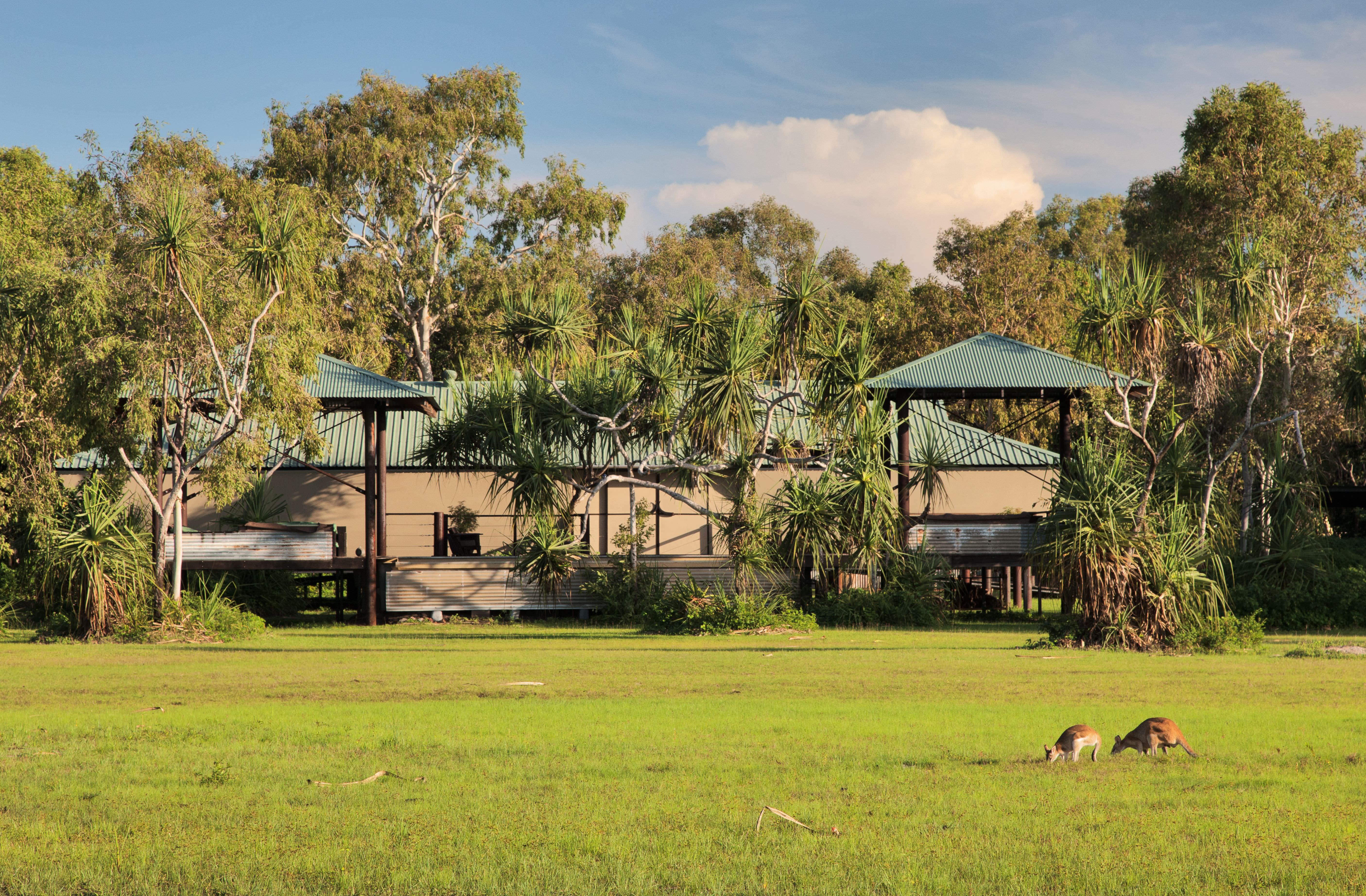 Inmitten der unberührten Wildnis