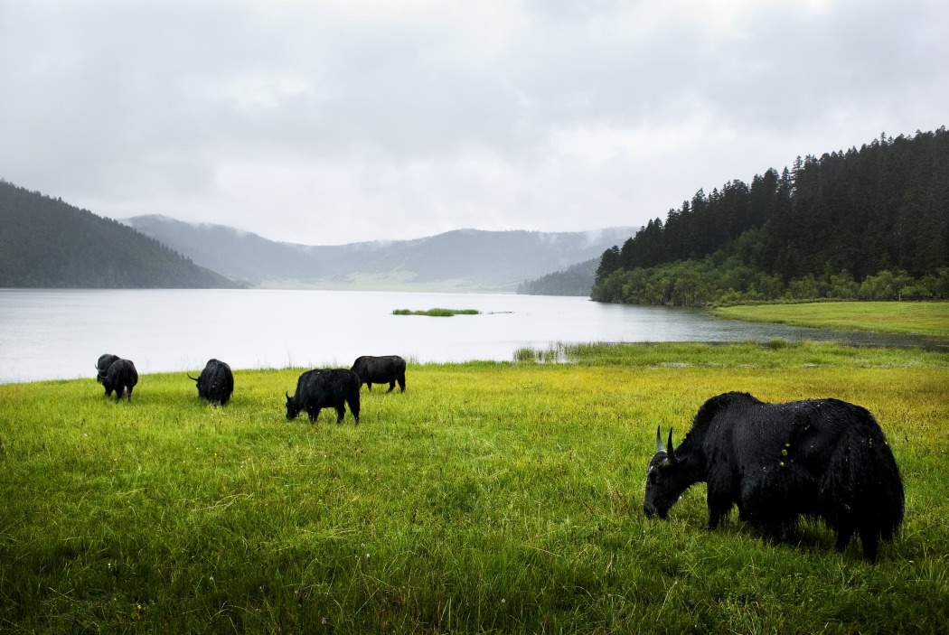 Eingebettet in traumhafter Natur