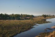 Belmond Eagle Island Lodge - eine der ursprünglichen Safari-Lodges Botswanas