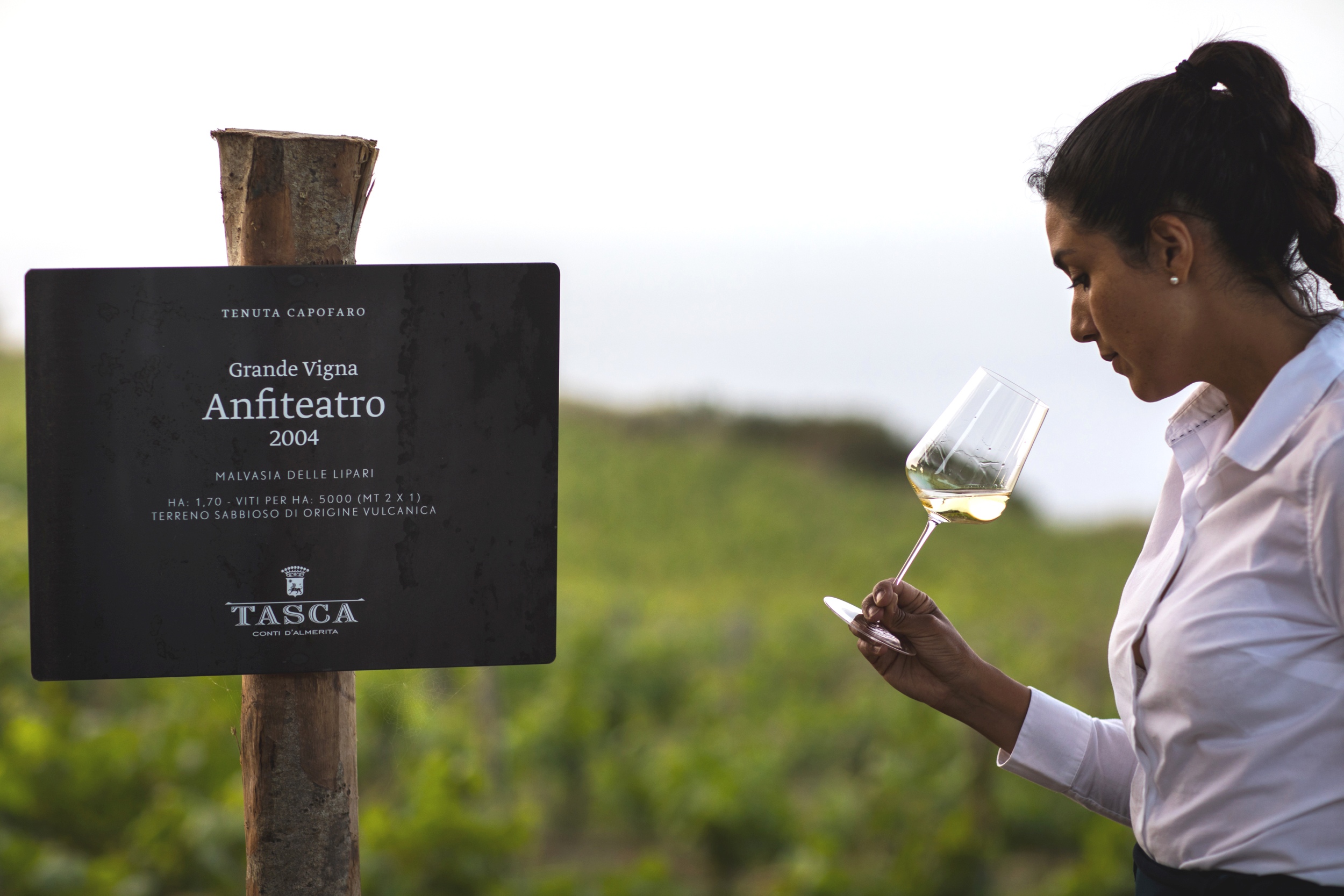 Die Insel ist bekannt für die Herstellung von Malvasia und Capperi di Salina Weinen