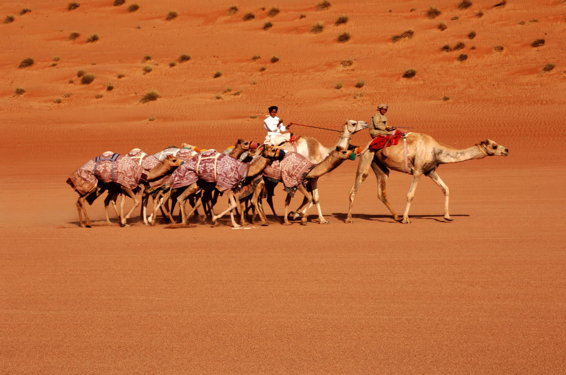 Abwechslungsreiche Aktivitäten