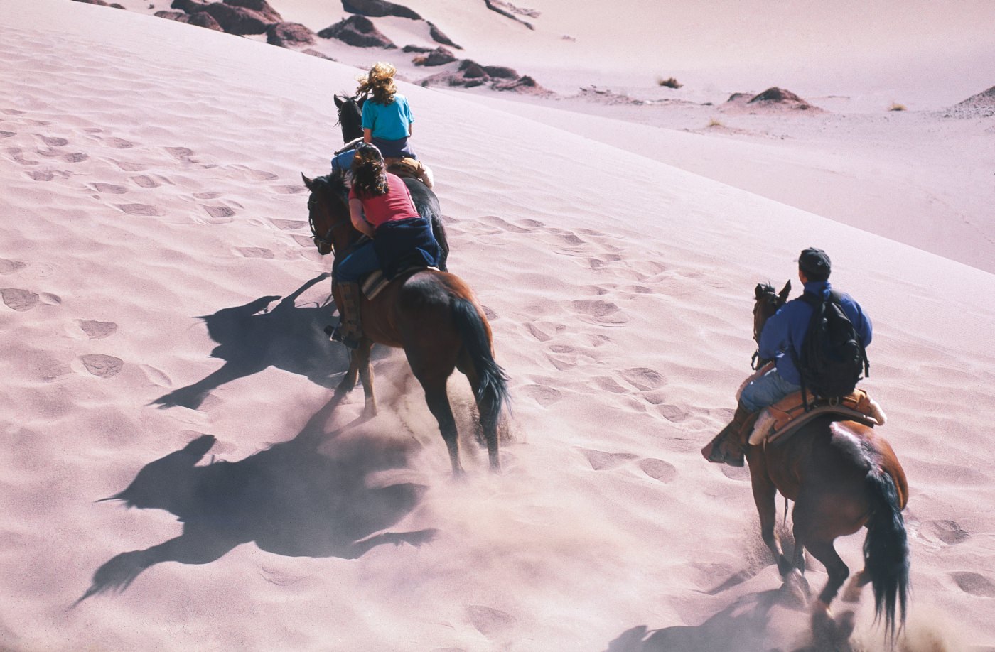 Erleben sie die Weite der Wüste