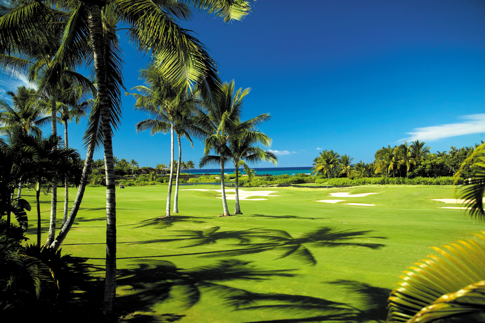 Der Jack Nicklaus Golfplatz