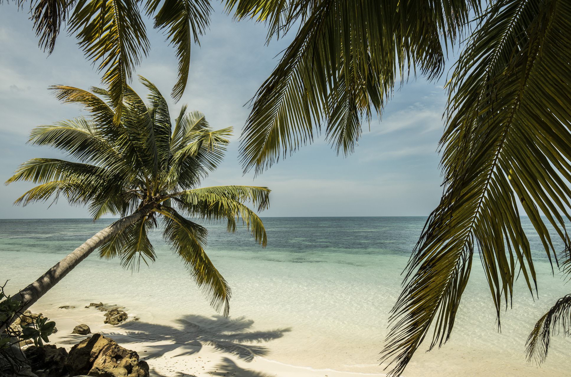 Ein kleines Paradies