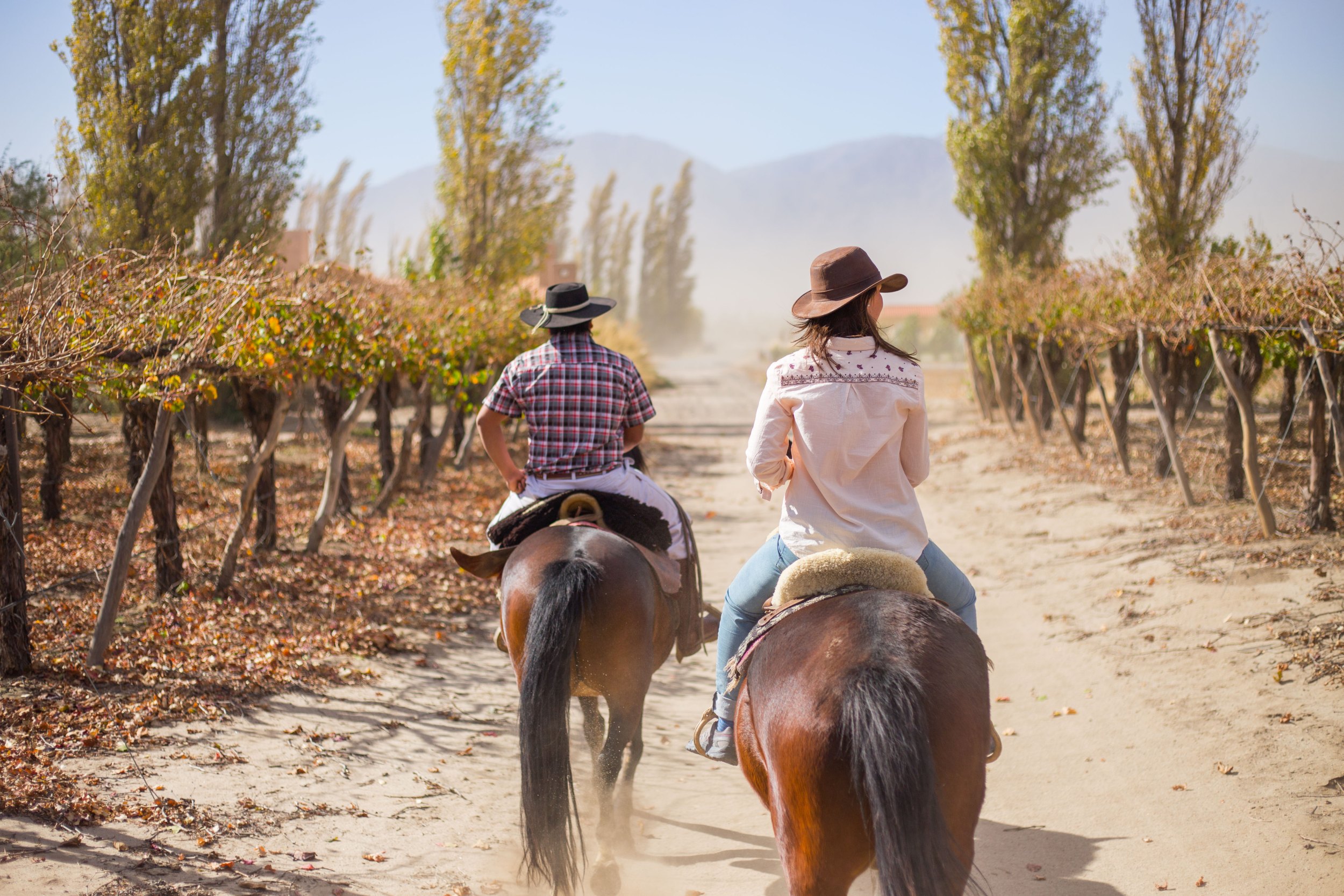 Reiten Sie durch die Weinberge der argentinischen Weinregion