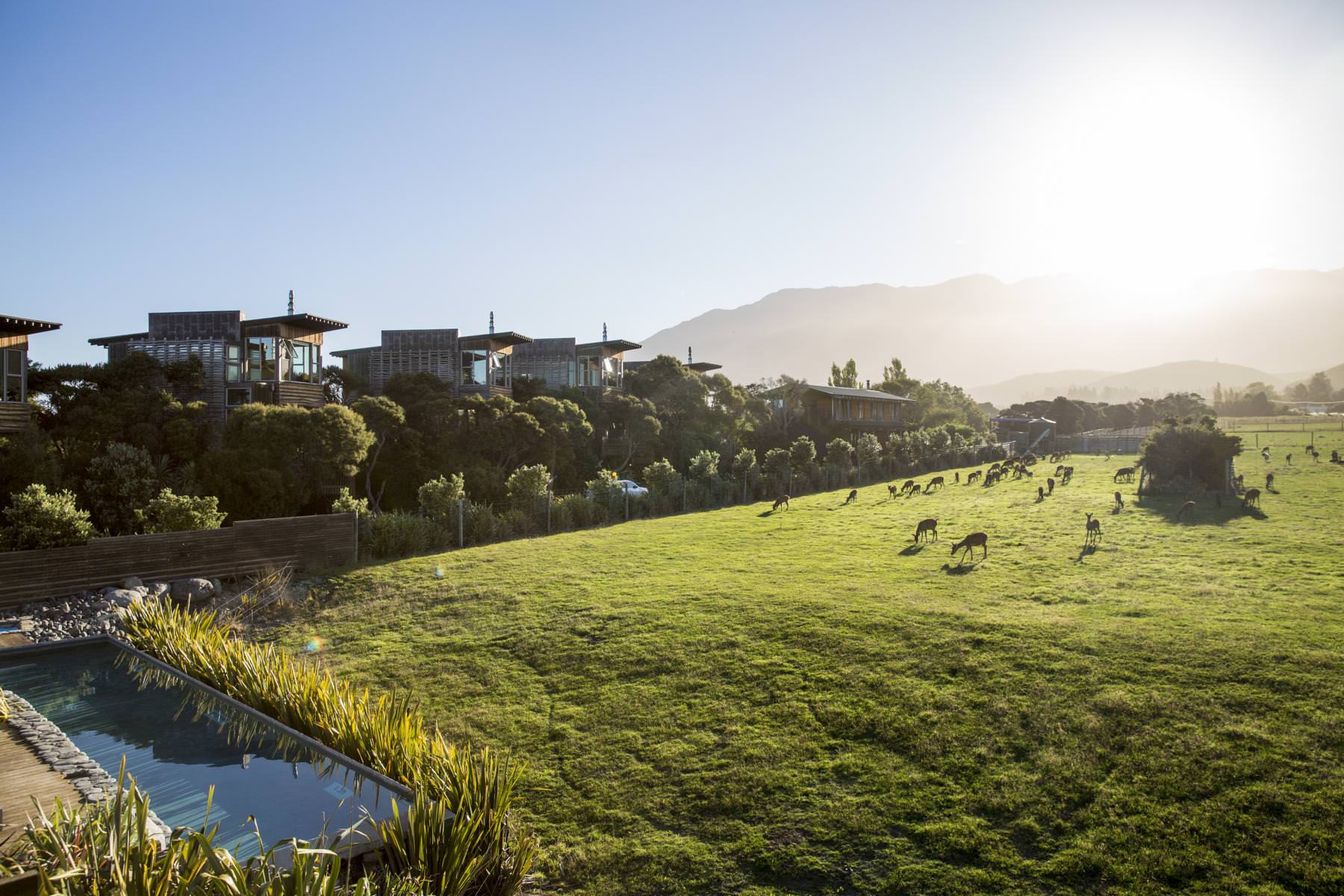 Auch das Wild fühlt sich hier wohl