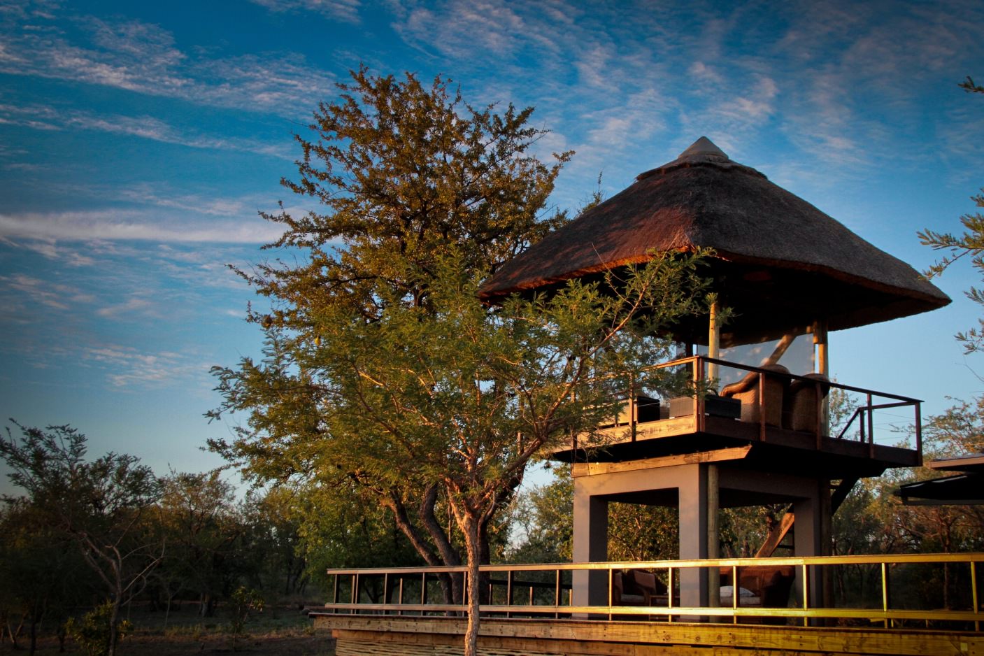 Sofa Safari vom eigenen Aussichtsturm der Lodge