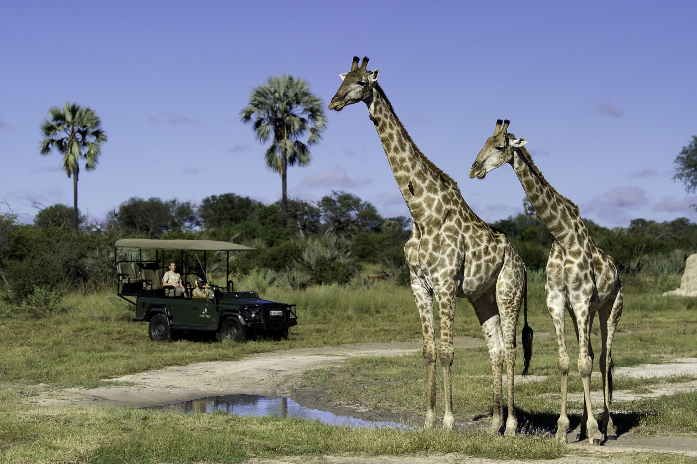 Traumhaftes Naturschauspiel