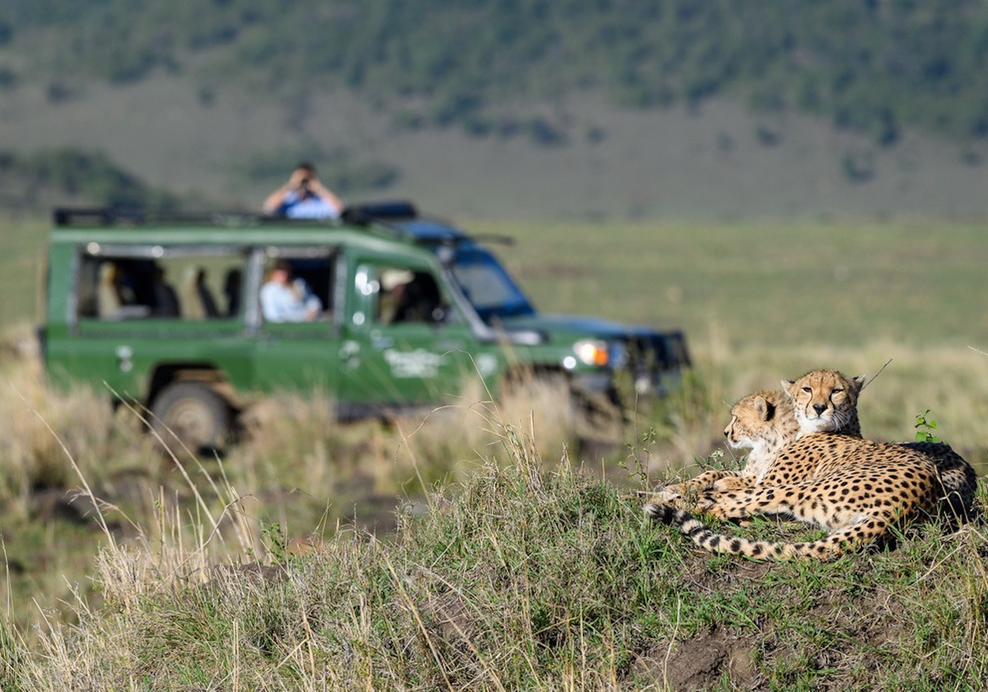 Eindrucksvolle Erlebnisse auf Ihrer Safari