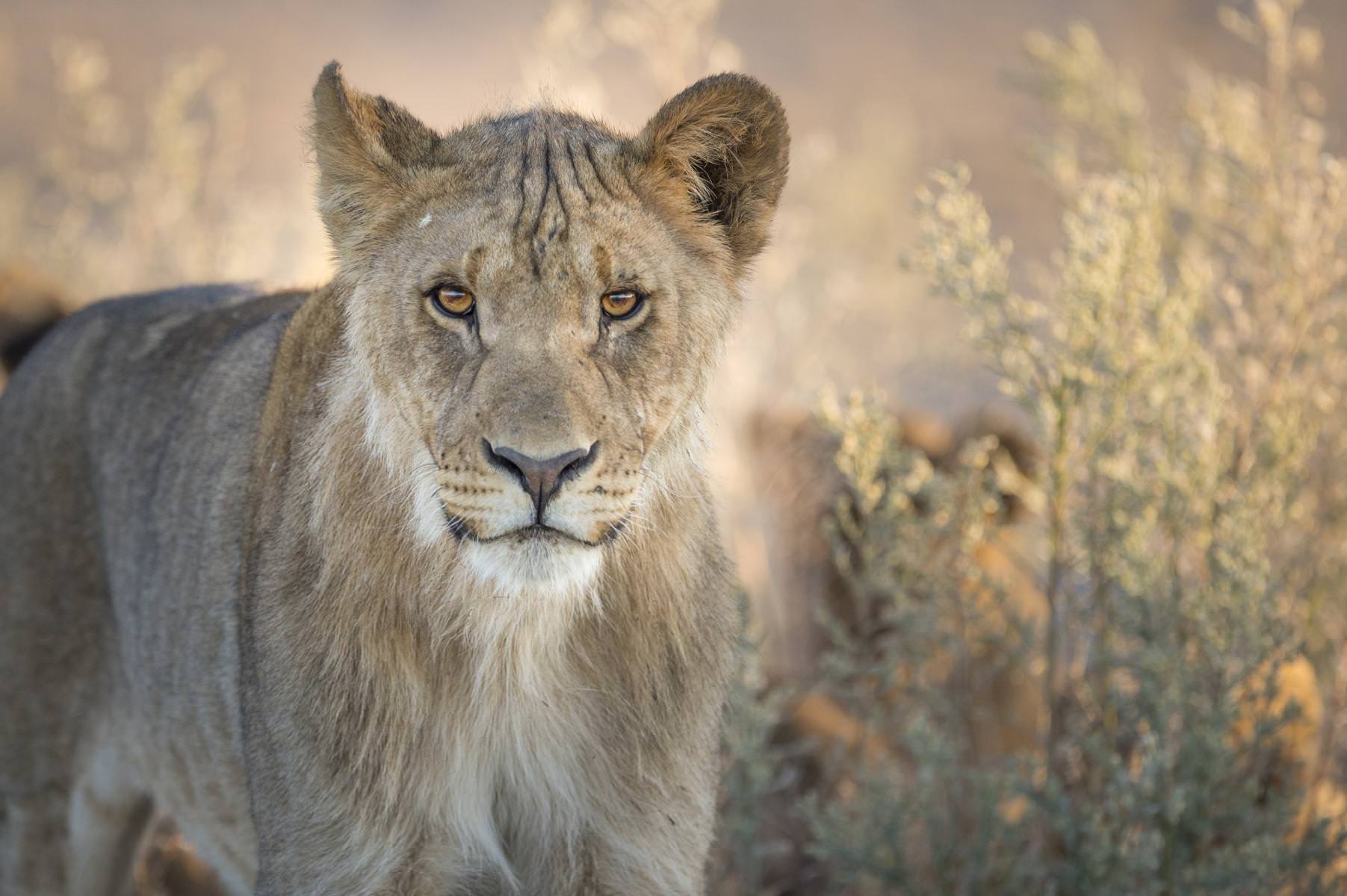 Beeindruckende Tiervielfalt