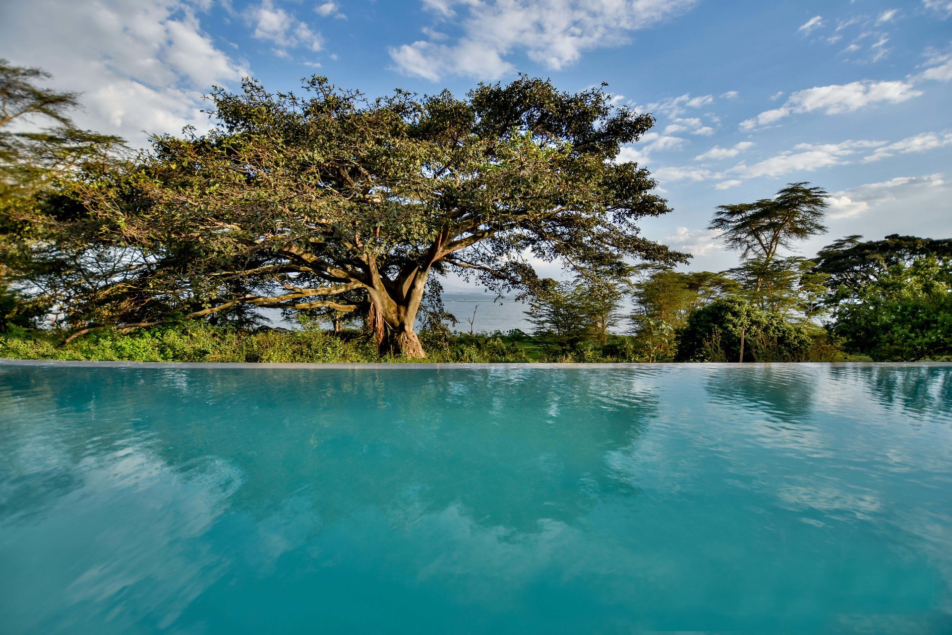 Genießen Sie eine Auszeit am Pool