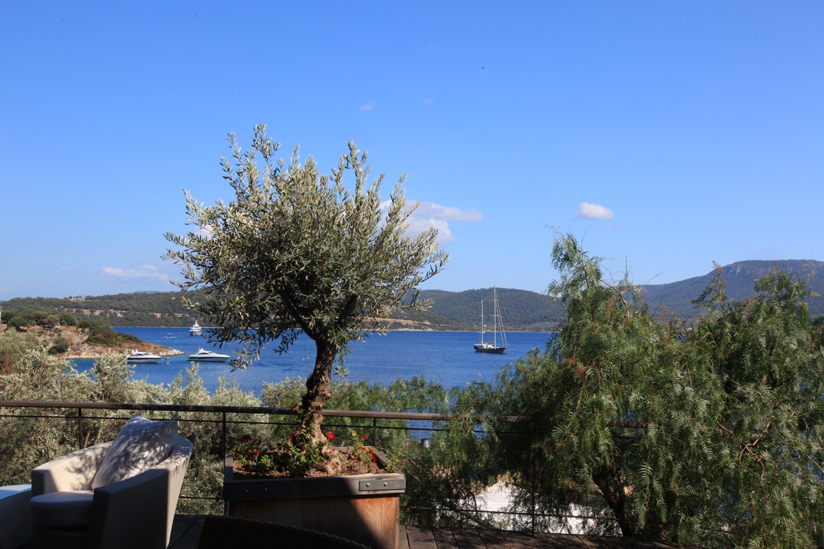 Wunderschöne Aussicht 