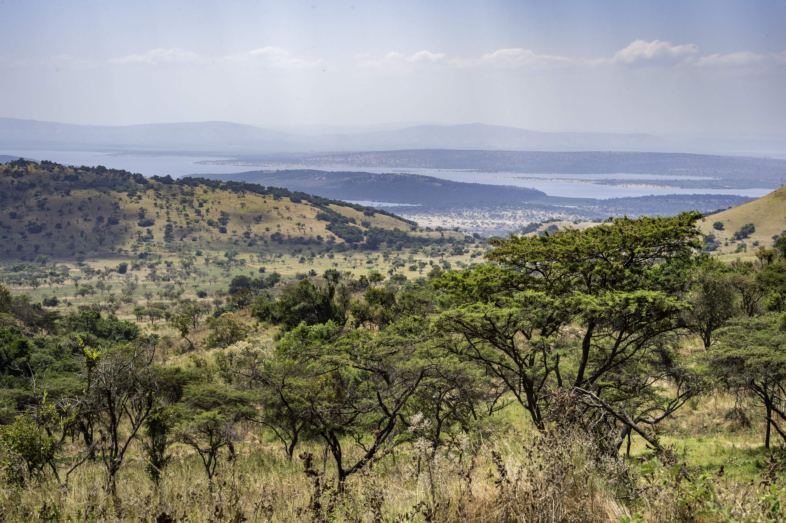 Erleben Sie Ostafrika