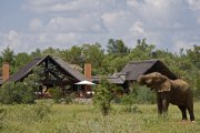 Herzlich Willkommen in der Mateya Safari Lodge
