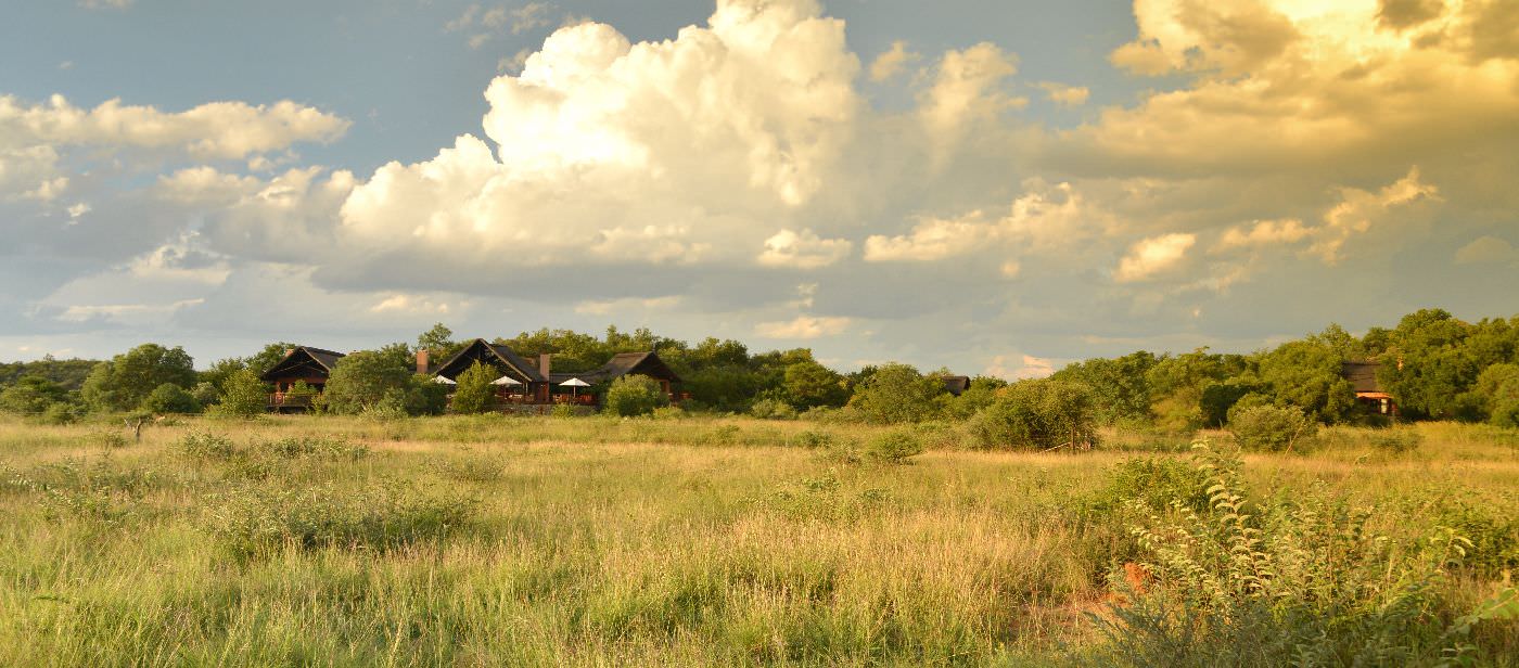 Die Lodge liegt versteckt in der Wildnis des Madikwe Reservats