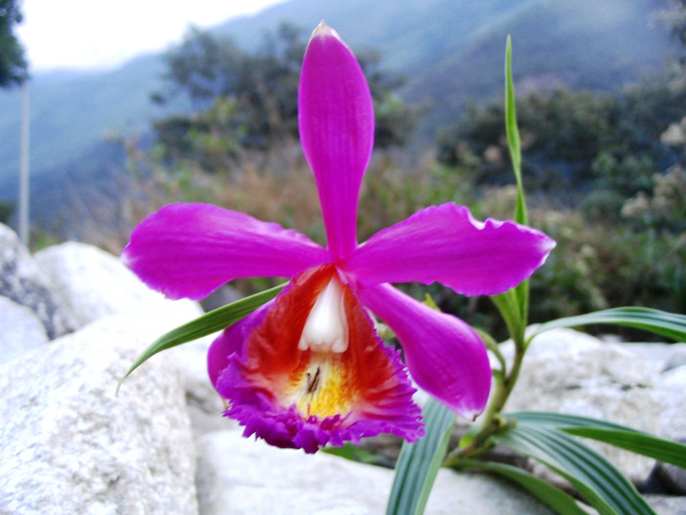 Wunderschöne Farben