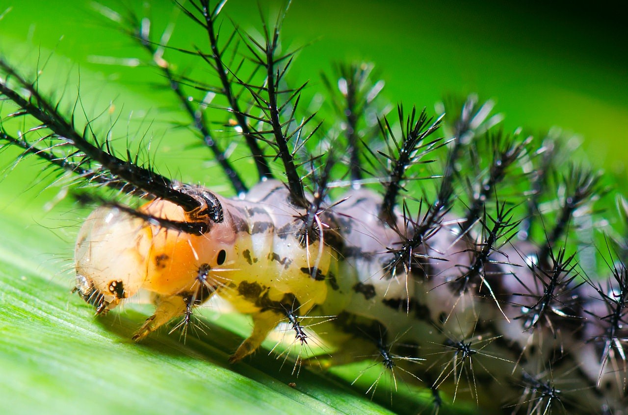 Erleben Sie die Artenvielfalt