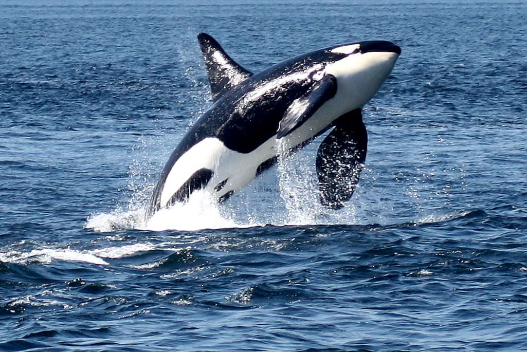 Spannende Begegnungen 