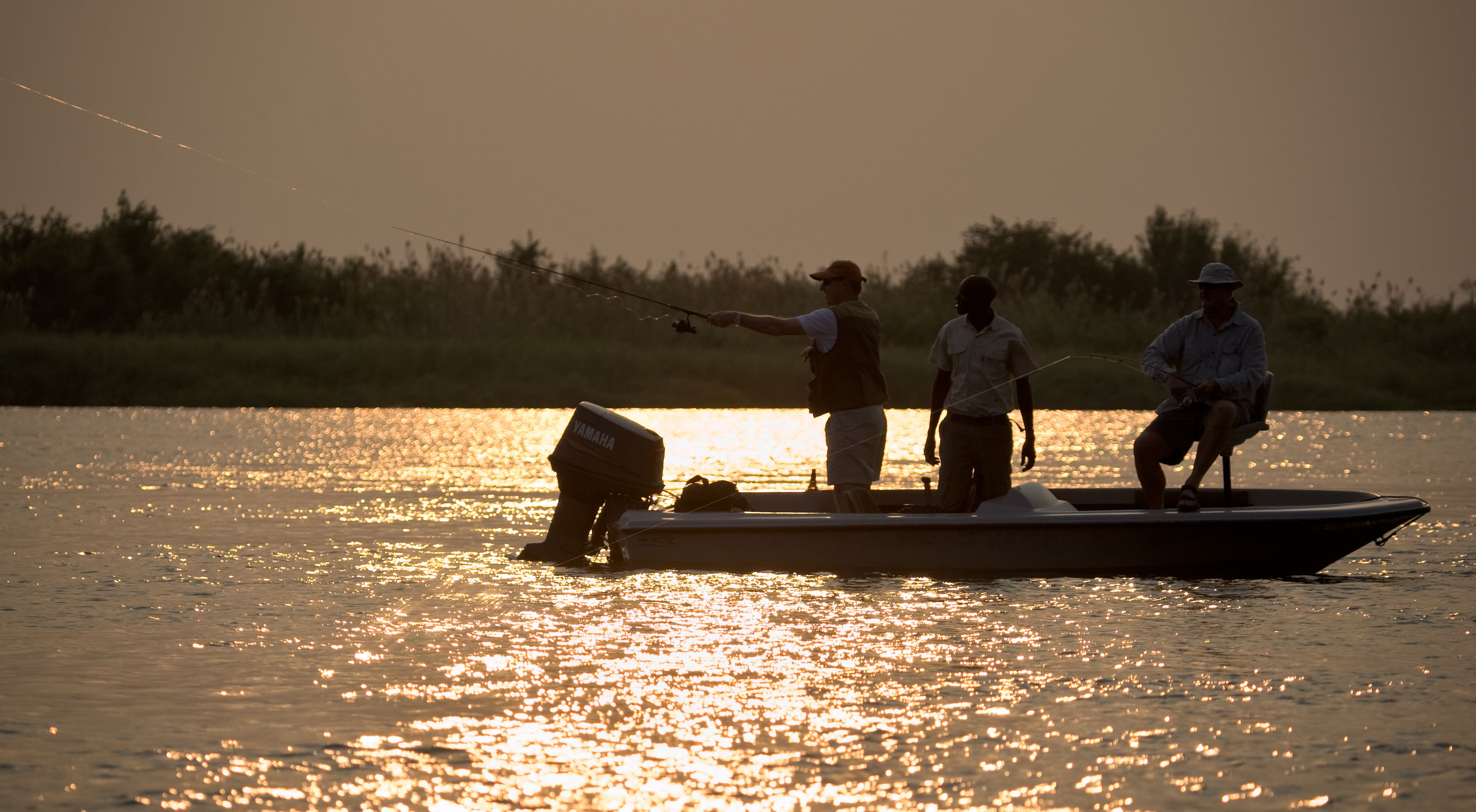 Aufregende Safaris per Boot