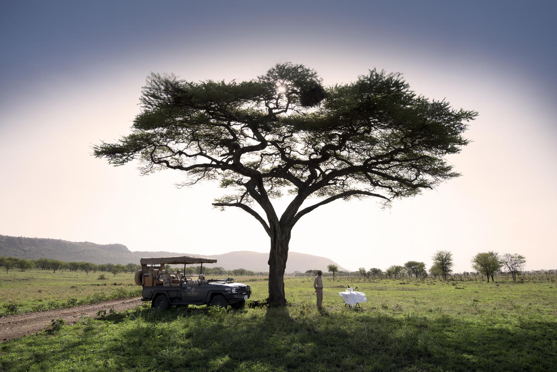 Beim privaten Buschdinner die unglaubliche Natur geniessen 