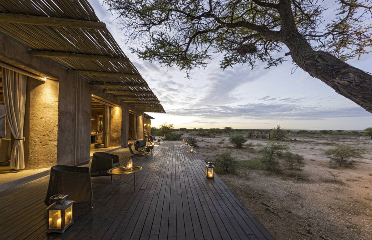 Stimmungsvolle Abenddämmerung im Busch