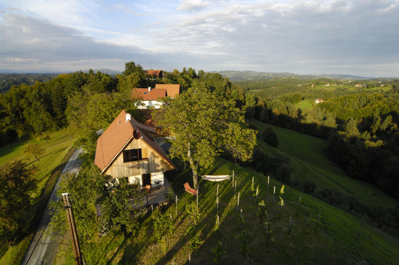 Umgeben von sattem Grün 