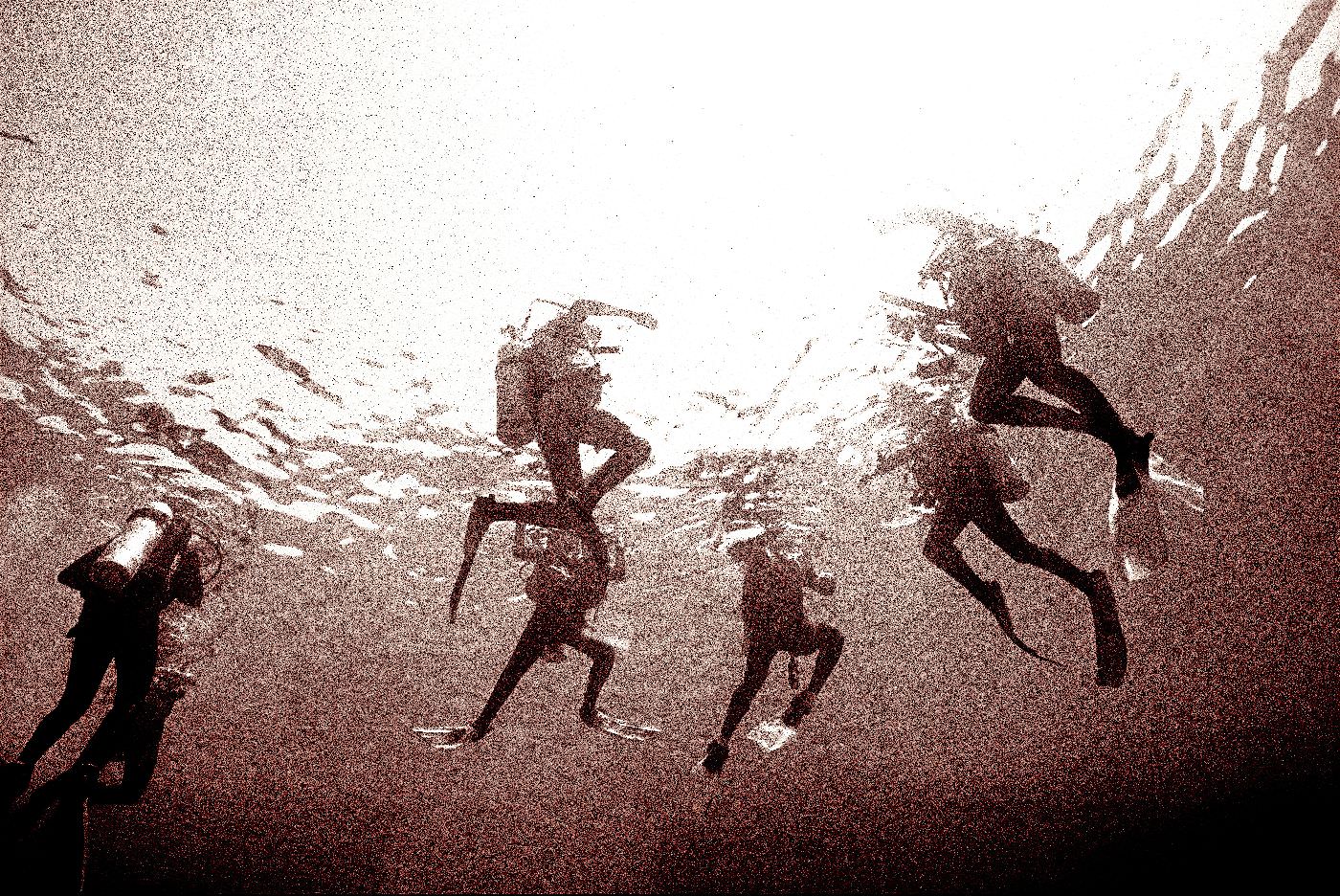 Bunte Korrallenriffe und exotische Fische erwarten Sie