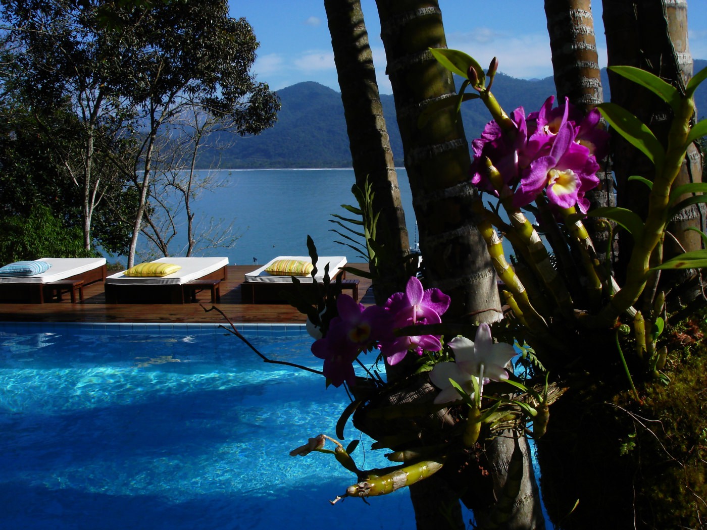 Wunderschöne Farben