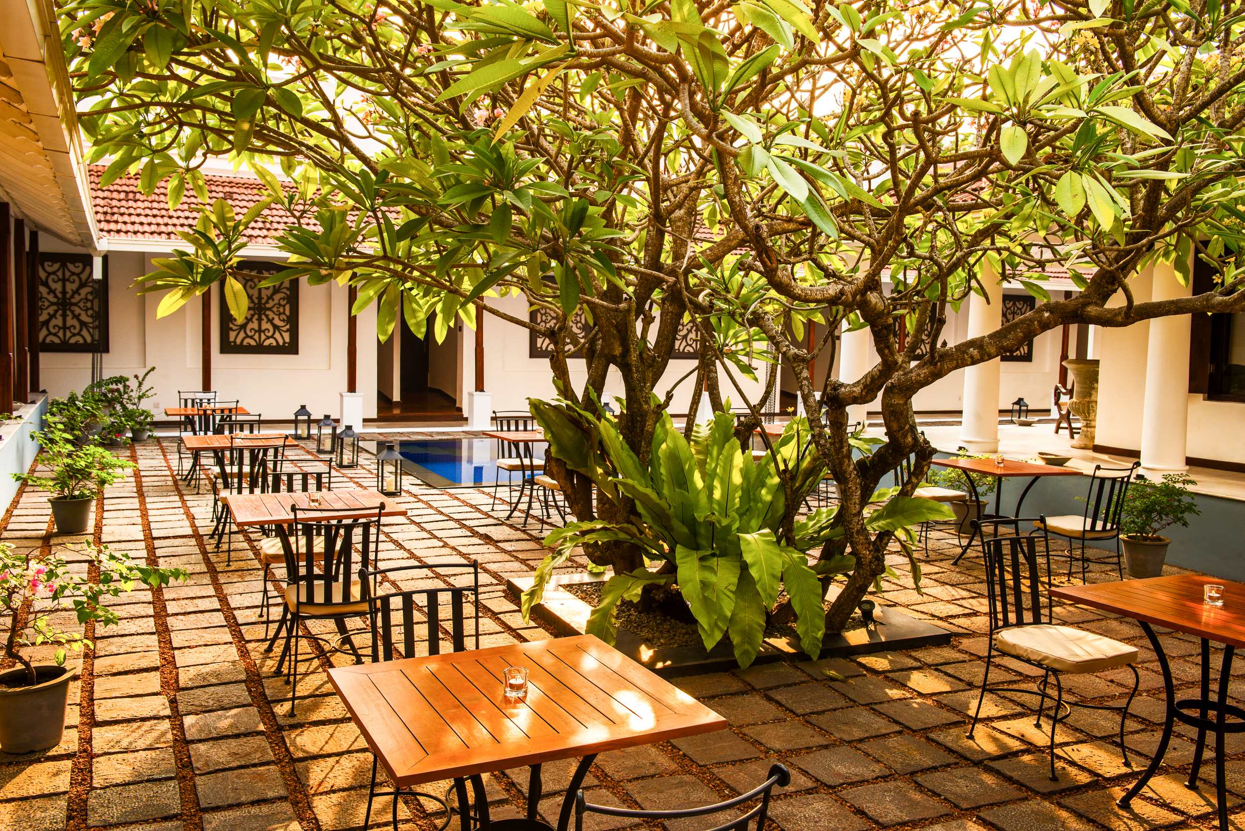 Dinieren Sie bei gutem Wetter unterm Sternenhimmel