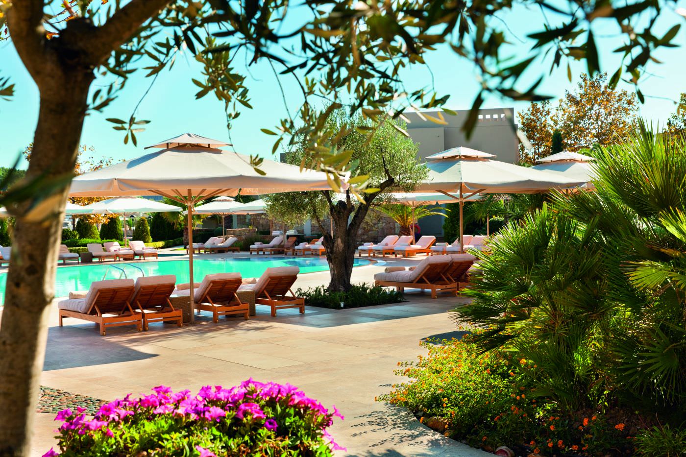 Privatsphäre am Pool