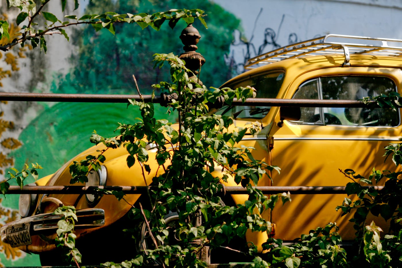 Erleben Sie das unglaubliche Flair